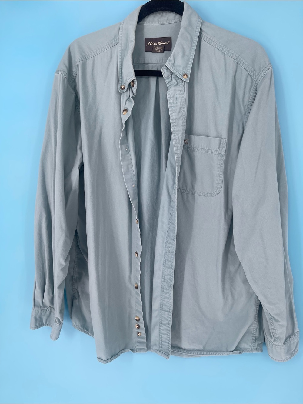 Eddie Bauer Pale Blue Long-Sleeve Button Shirt